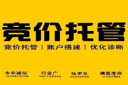 某SEM主管的跨平台广告投放策略与成果